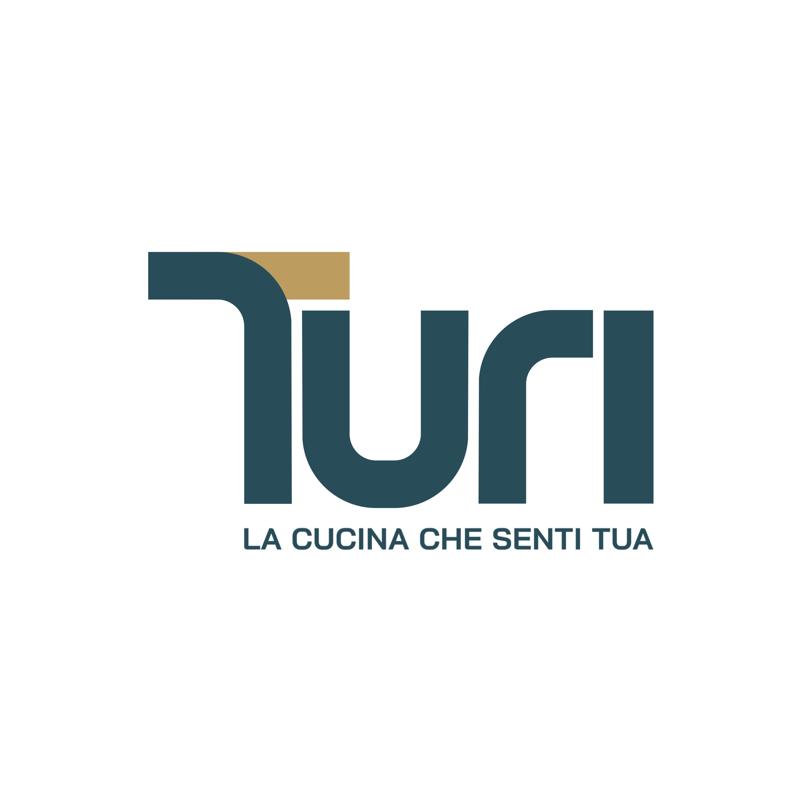 TURI_logo.pdf (1)